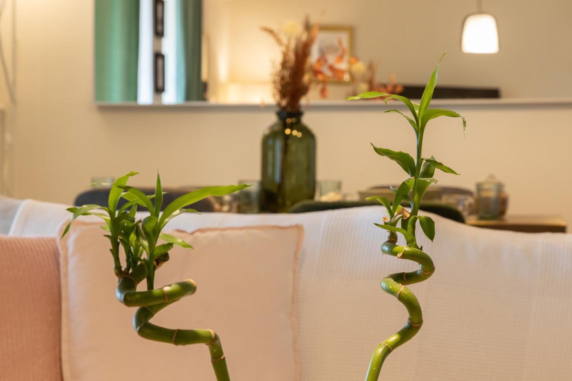 Glyfada Golf Fourth Floor Apartment Афины Экстерьер фото